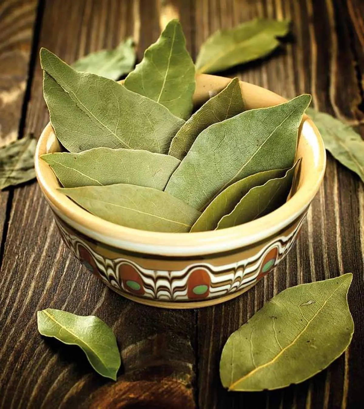 Thumbnail image for: July 1: Spice It Up! Bay Leaf – Part 1
