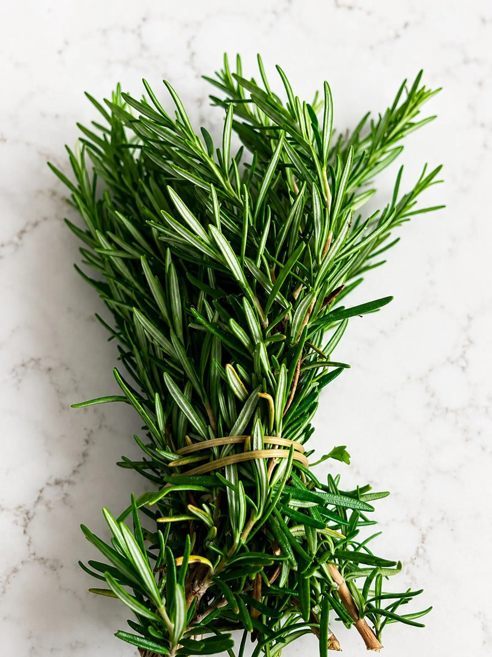 Thumbnail image for: November 4: SPICE IT UP! ROSEMARY – PART 1 